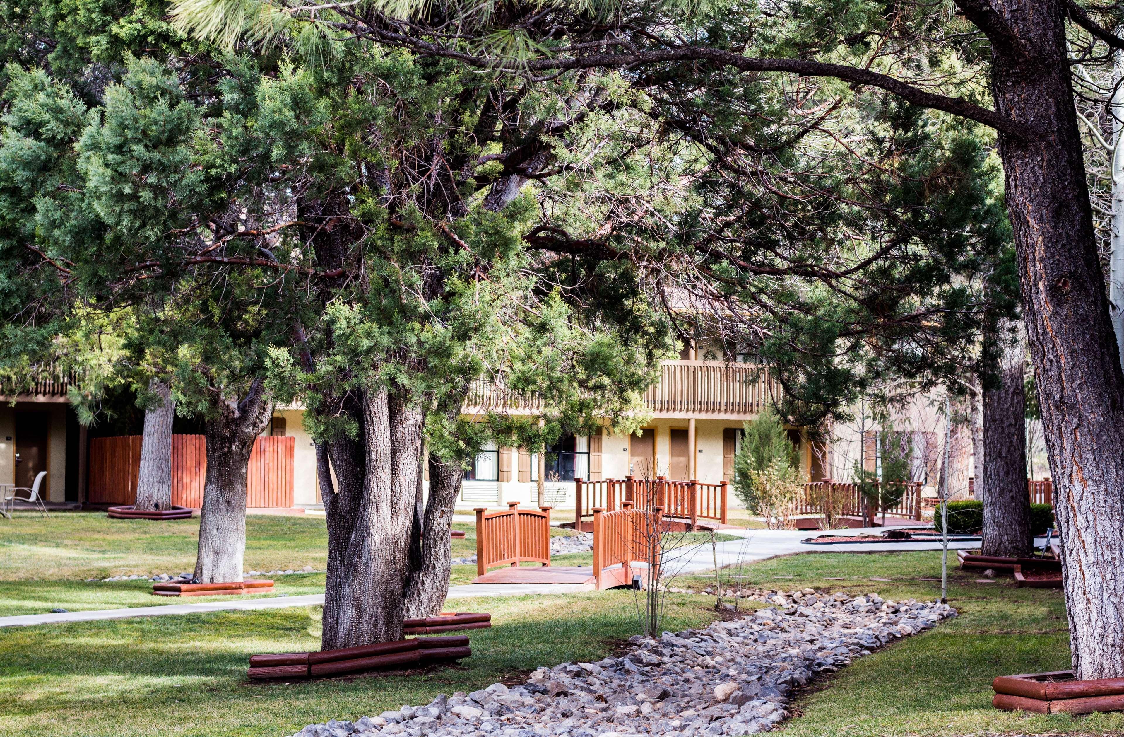 فندق بيست ويسترن باين سبرينجز إن Ruidoso Downs المظهر الخارجي الصورة