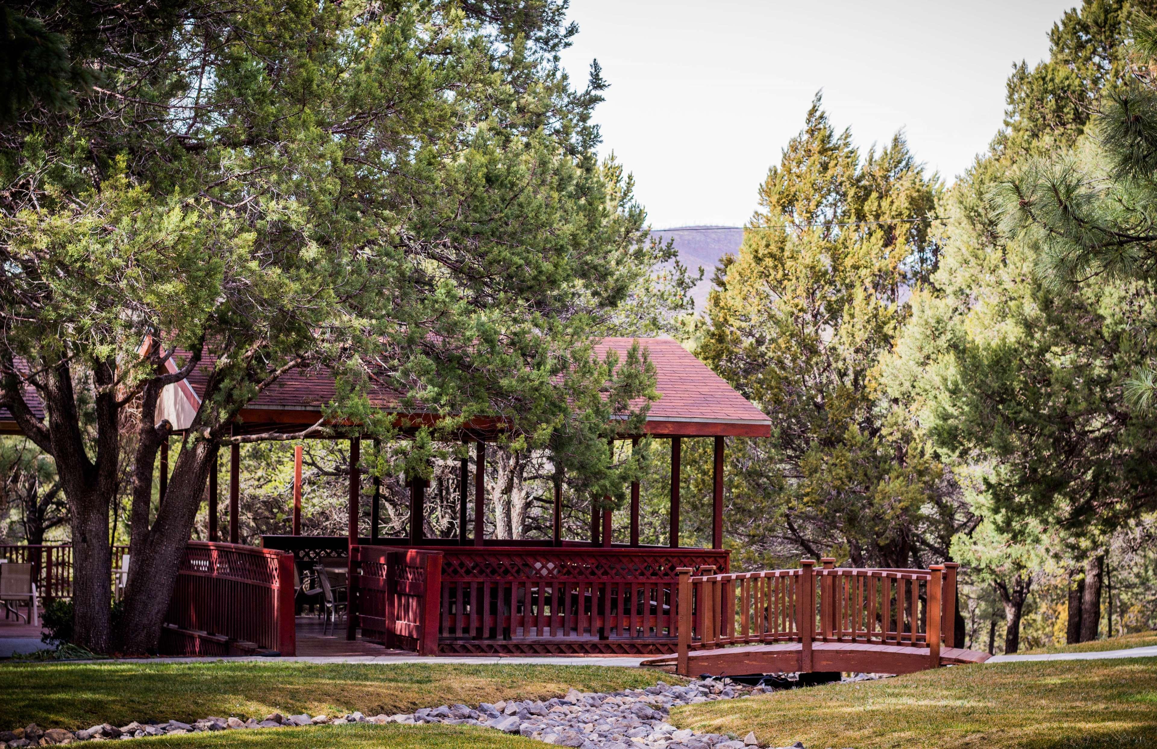 فندق بيست ويسترن باين سبرينجز إن Ruidoso Downs المظهر الخارجي الصورة